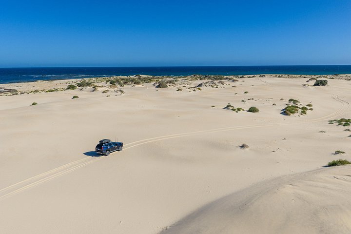 Coffin Bay Tour med Oyster Shucking og Off Road Adventure