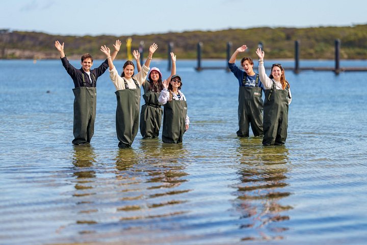 Coffin Bay Tour med Oyster Shucking og Off Road Adventure