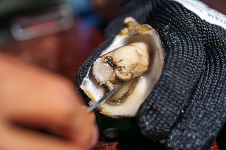 Coffin Bay Tour med Oyster Shucking og Off Road Adventure