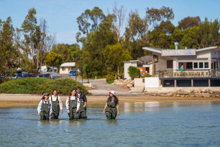 Coffin Bay Tour med Oyster Shucking og Off Road Adventure