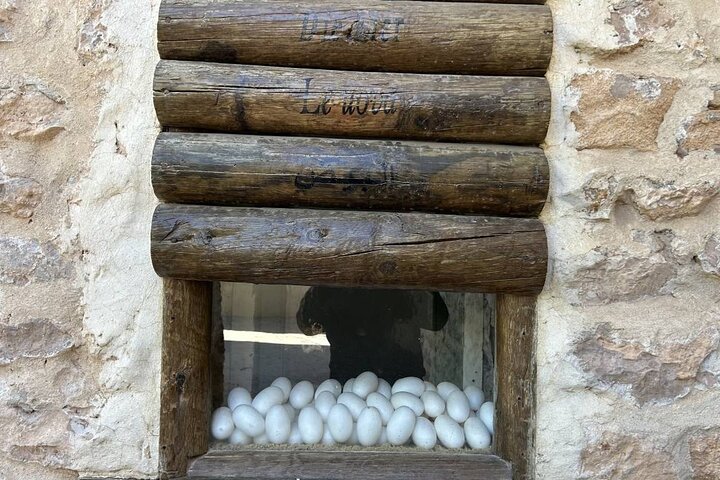 Krokodillenboerderij en culturele musea ervaring in Djerba