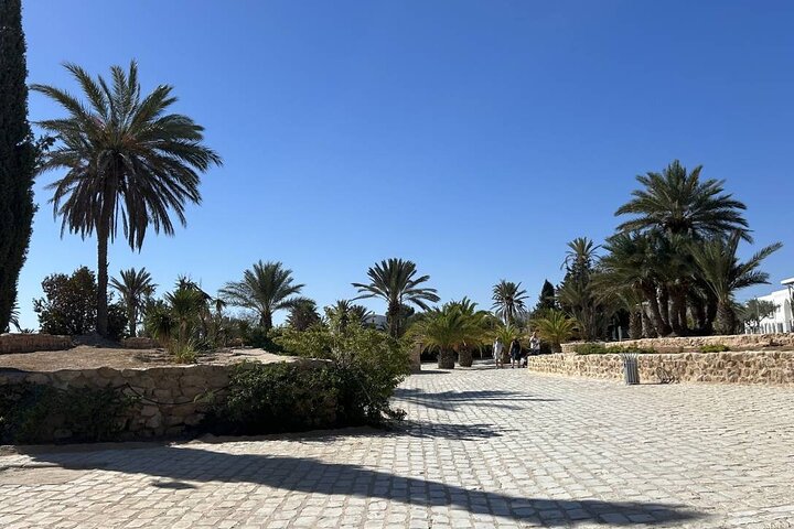 Krokodillenboerderij en culturele musea ervaring in Djerba