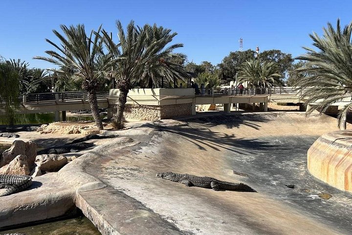 Krokodillenboerderij en culturele musea ervaring in Djerba