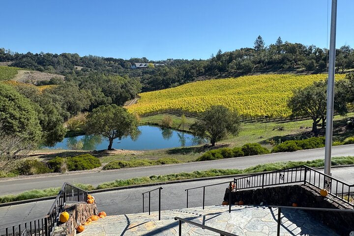 "Fabulous Private Wine Tour of Napa & Sonoma for 2 to 5 People"