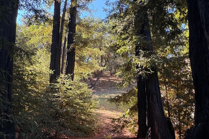 "Fabulous Private Wine Tour of Napa & Sonoma for 2 to 5 People"