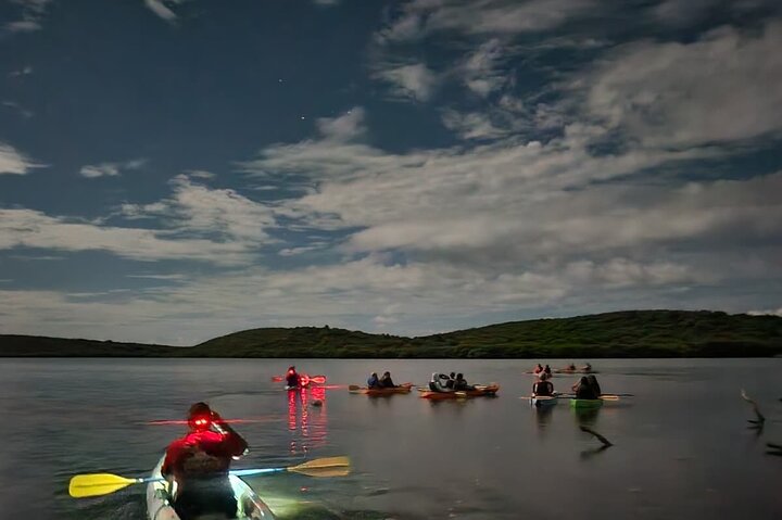 Tour de Dindin’s Biobay Tours-CLEAR BOTTOM KAYAKS en Mosquito Bay