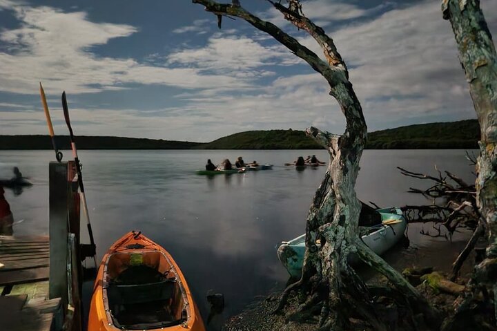 Tour de Dindin’s Biobay Tours-CLEAR BOTTOM KAYAKS en Mosquito Bay
