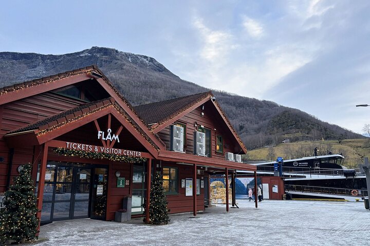Bergen : Croisière UNESCO NærøyFjord, Flåm & Stegastein - Incl. Déjeuner