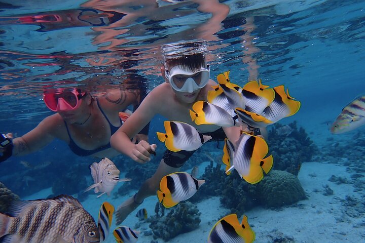 1/2 giornata Tahaa Coral Garden - partenza Raiatea / ideale per crocieristi