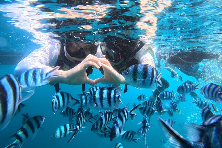 Okinawa Blue Cave Snorkeling Adventure com fotos gratuitas