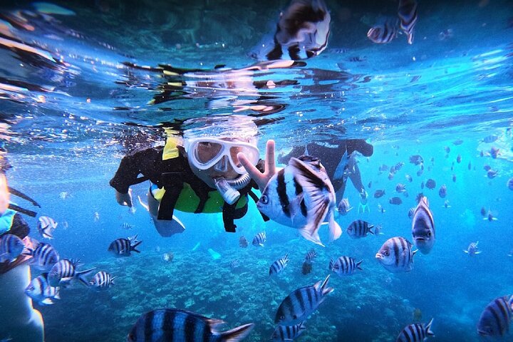 Okinawa Blue Cave Snorkeling Adventure com fotos gratuitas