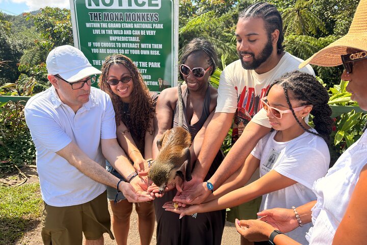 Half Day Private Tour in Grenada
