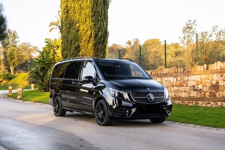 Tour privato intorno a Tenerife con Guida in auto di lusso