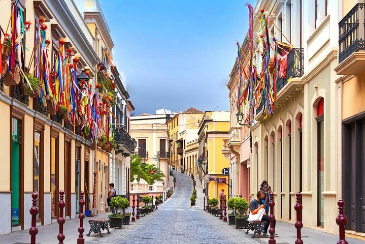 Tour privato intorno a Tenerife con Guida in auto di lusso