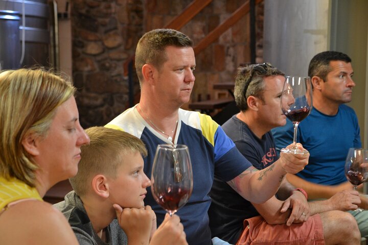 The Grape Escape! Cykling i smuk natur med vinsmagning