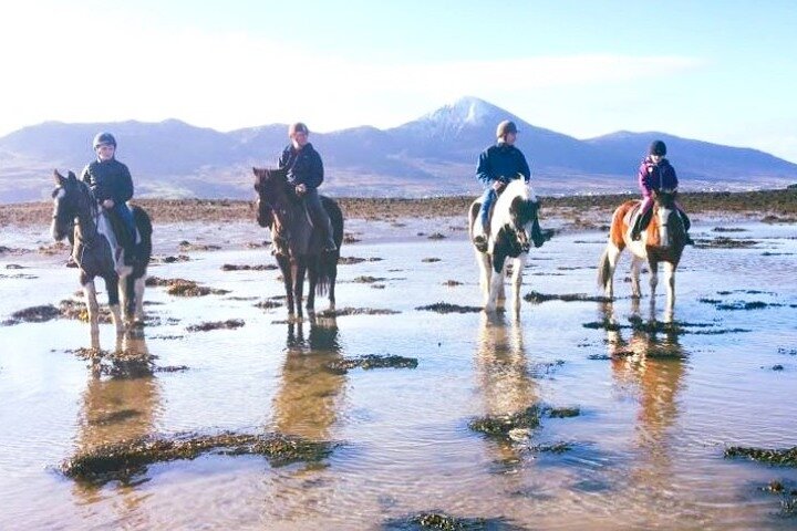 Équitation sur la plage et à la campagne à l'extérieur de Westport. Guidé. 1 heure