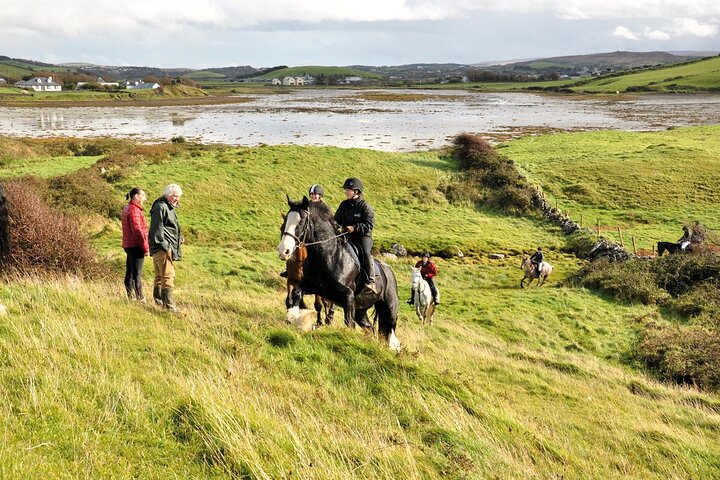 Équitation sur la plage et à la campagne à l'extérieur de Westport. Guidé. 1 heure