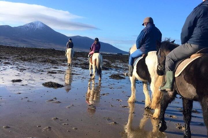 Équitation sur la plage et à la campagne à l'extérieur de Westport. Guidé. 1 heure
