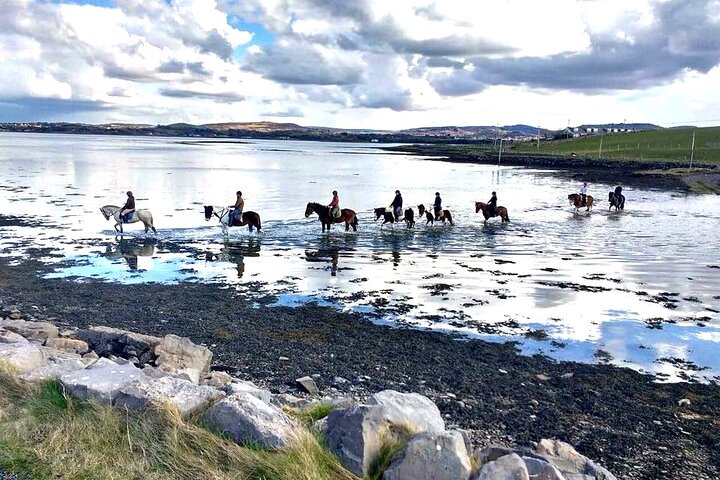 Équitation sur la plage et à la campagne à l'extérieur de Westport. Guidé. 1 heure