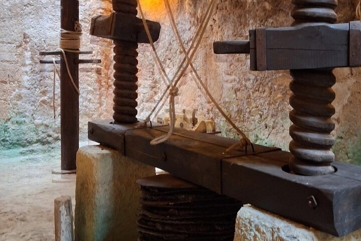 Ostuni: Degustazione di Olio Extra Vergine di Oliva in Masseria
