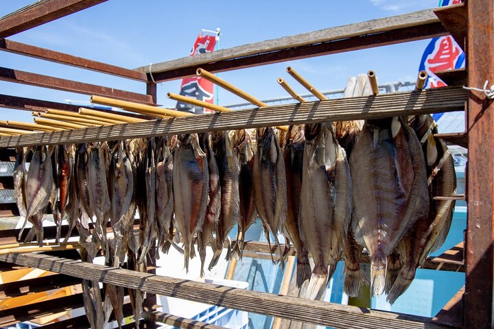 Niigata : Cultura Giapponese del pesce e passeggiata al mercato locale