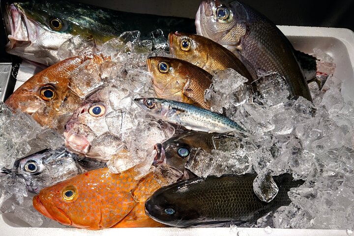 Niigata : Cultura Giapponese del pesce e passeggiata al mercato locale