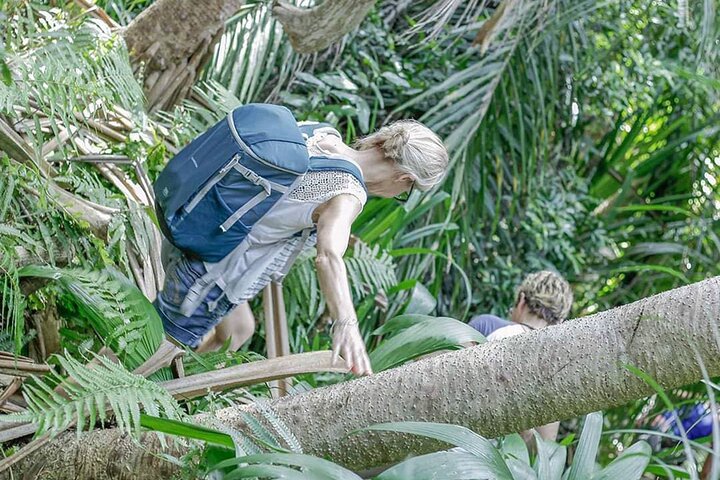 Zanzibar Jozani skog og krydder gård tur med Swahili lunsj