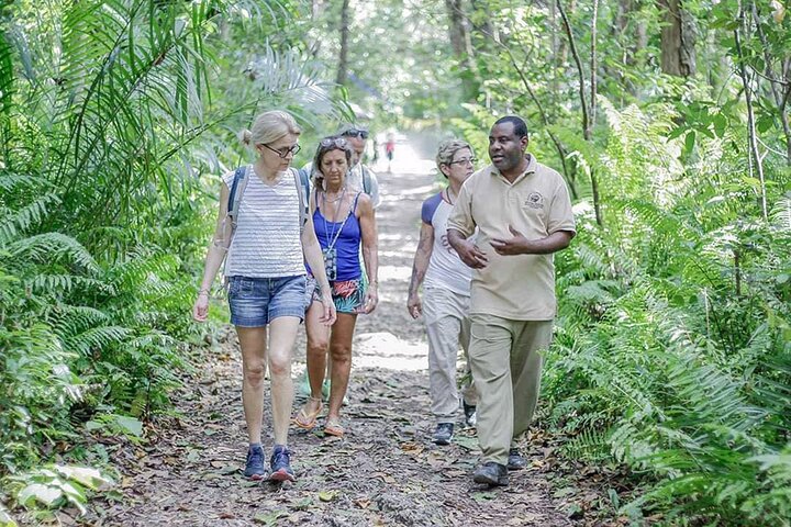 Zanzibar Jozani skog og krydder gård tur med Swahili lunsj