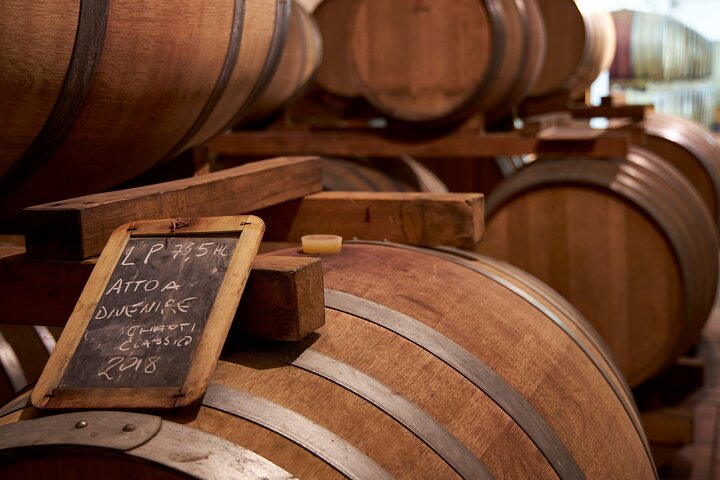 Visite et dégustation de vins biologiques avec vue sur les vignobles Chianti Classico