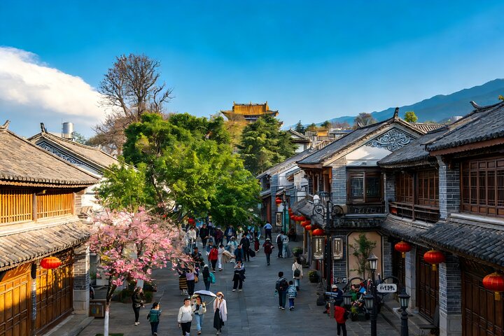 Tour privato di Kunming alle attrazioni di Dali City in Bullet Train
