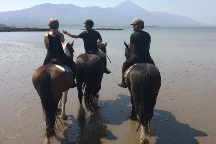Playa guiada de 2 horas y paseos a caballo por el campo fuera de Westport