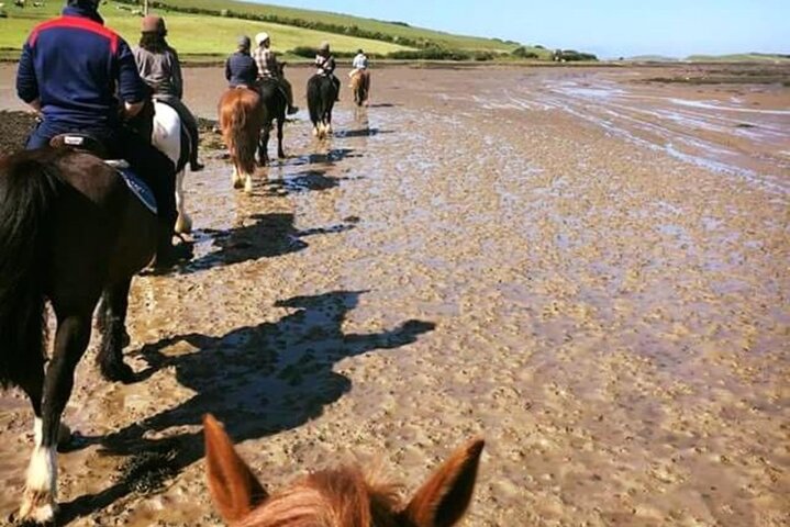 Playa guiada de 2 horas y paseos a caballo por el campo fuera de Westport