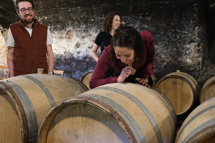 2-timers fordybende smagning i Beaujolais - Vin- og chokoladeparring