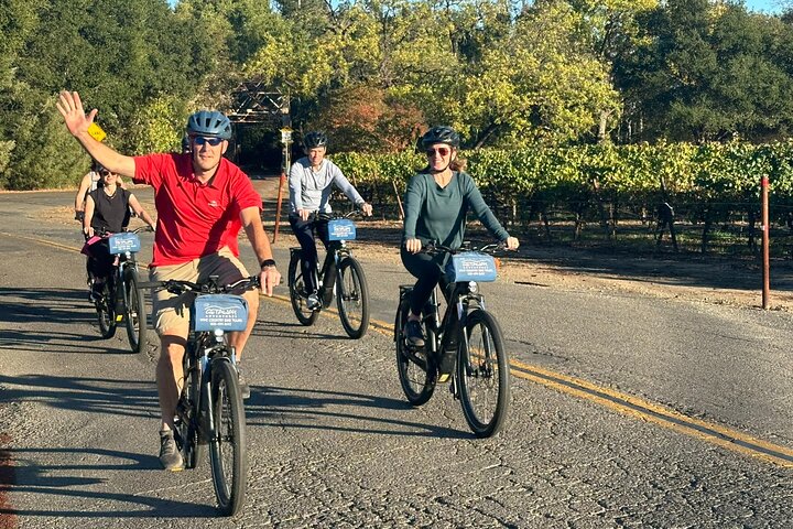 Tour guidato dell'healdsburg Wine Country Bike e degustazione di vini con pranzo