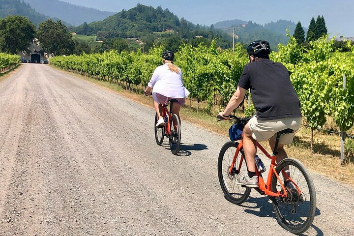 Tour guidato dell'healdsburg Wine Country Bike e degustazione di vini con pranzo