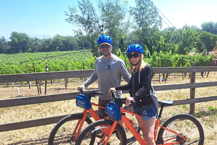 Tour guidato dell'healdsburg Wine Country Bike e degustazione di vini con pranzo