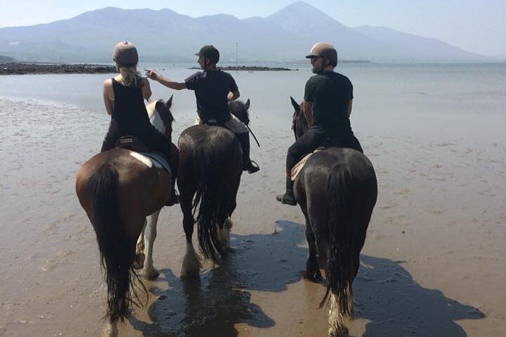 Équitation sur la plage et à la campagne à l'extérieur de Westport. Guidé. 1 heure
