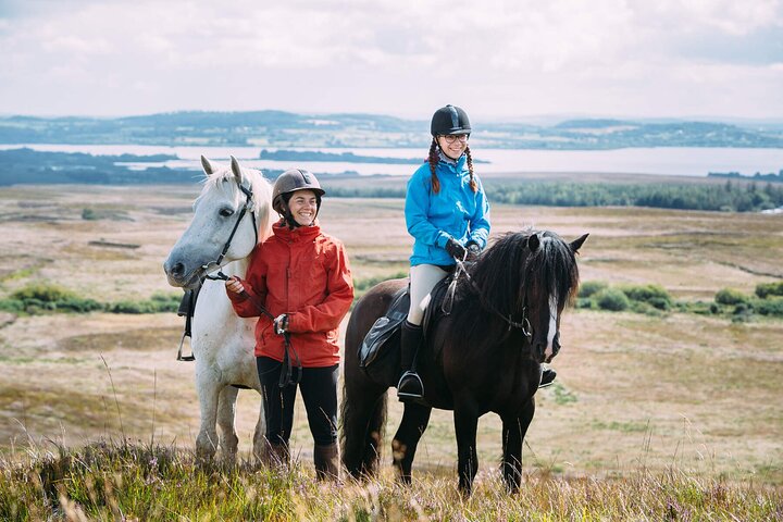 Playa guiada de 2 horas y paseos a caballo por el campo fuera de Westport