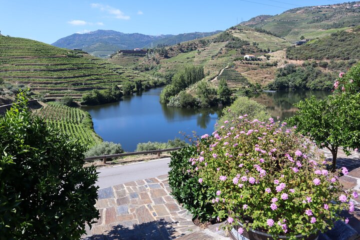 Privat Douro Valley Tour - 2 vingårdar och 1 timmes flodkryssning