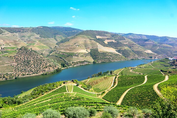 Privat Douro Valley Tour - 2 vingårdar och 1 timmes flodkryssning