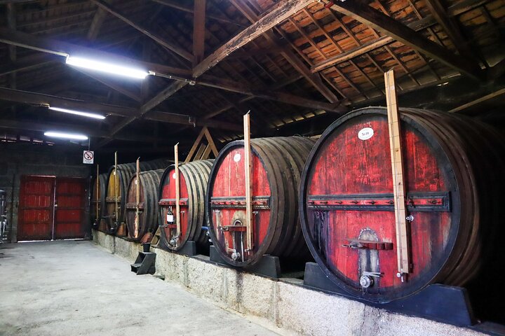 Privat Douro Valley Tour - 2 vingårdar och 1 timmes flodkryssning