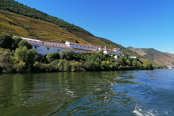 Privat Douro Valley Tour - 2 vingårdar och 1 timmes flodkryssning
