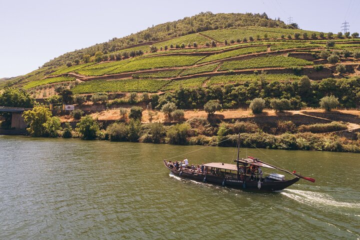 Privat Douro Valley Tour - 2 vingårdar och 1 timmes flodkryssning