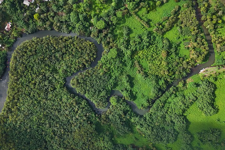 1/2 dag "Treasures of Raiatea" med båt - perfekt för kryssningspassagerare
