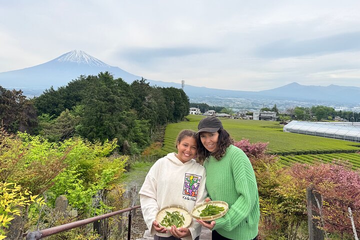Tour privato del Monte Fuji dal porto di Shimizu | Escursione a terra
