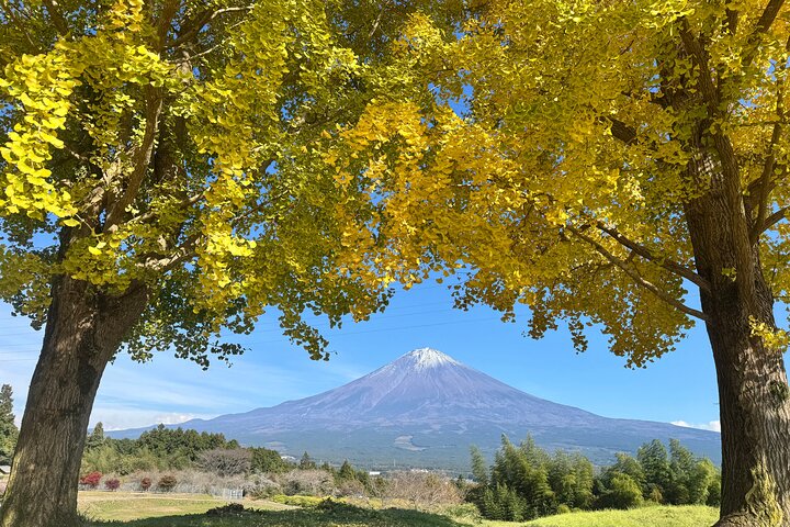 Tour privato del Monte Fuji dal porto di Shimizu | Escursione a terra