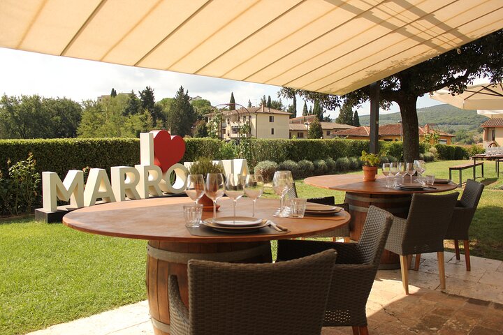 Experiencia de caza y almuerzo de trufas en San Gimignano