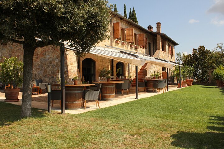 Experiencia de caza y almuerzo de trufas en San Gimignano