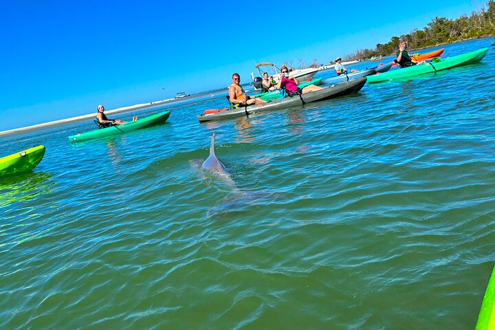 Bonita Springs Eco Kayak tur – beste utstyr, premium og klare kajakker