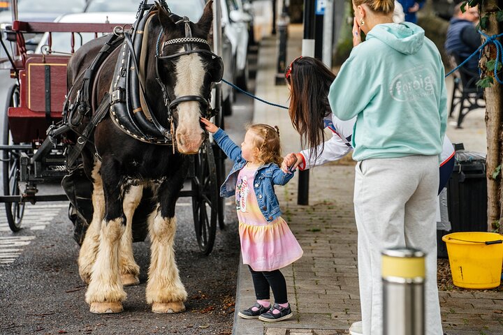 Westport's Wonders : En rolig och äventyrlig vandringstur